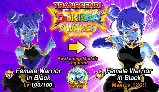 dokkan battle collaboration new character